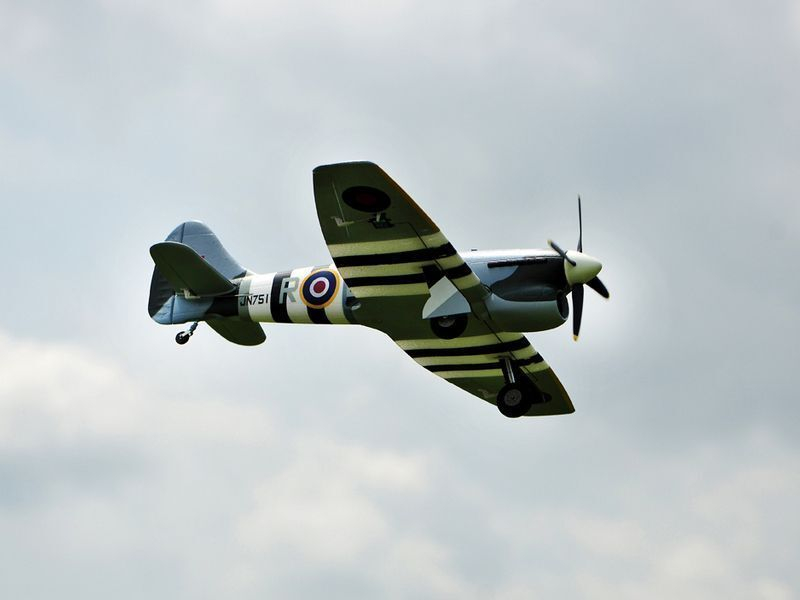 Радиоуправляемый самолет Top RC Tempest PRO 800мм flight controller PNP