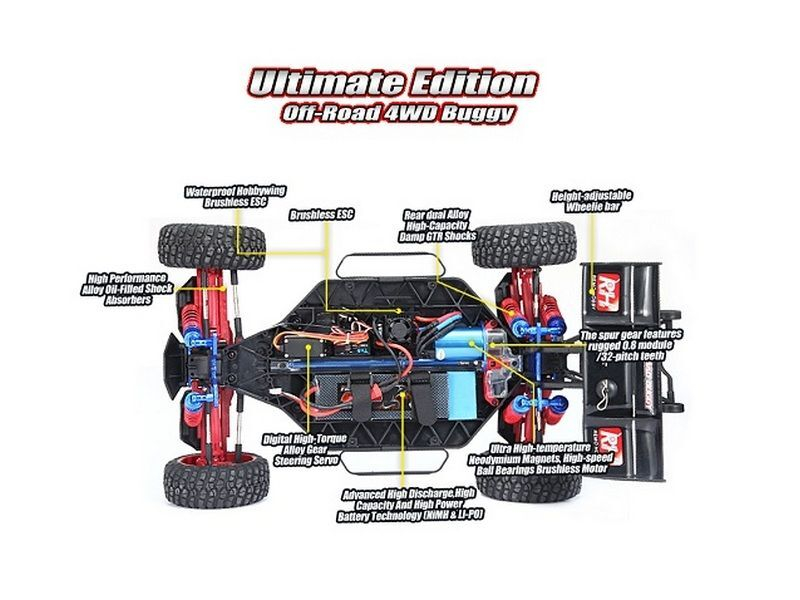 Радиоуправляемая багги Remo Hobby Scorpion Brushless (синяя) 4WD 2.4G 1/8 RTR