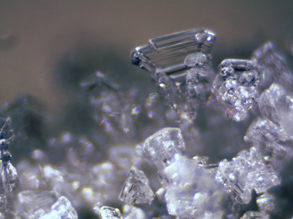 Микроскоп стереоскопический Bresser Erudit ICD 20x/40x