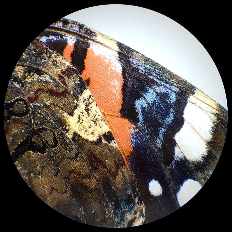 Микроскоп стереоскопический Bresser Analyth STR 10&ndash;40x