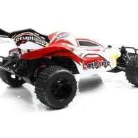 Р/У багги Feilun Land King 2WD 2.4G 1/10 RTR