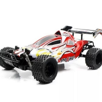 Р/У багги Feilun Land King 2WD 2.4G 1/10 RTR