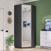 Шкаф распашной Распашной Угловой Экспресс 90х90х240 см