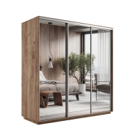 Шкаф-купе Экспресс 3дв.-зеркала, 180х60х220, Крафт табачный