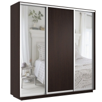 Шкаф-купе Экспресс 3дв. Зеркало/ДСП/Зеркало, 240х60х220, Венге