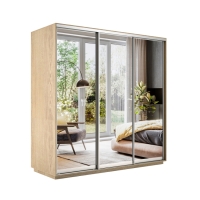 Шкаф-купе Экспресс 3дв.-зеркала, 180х60х220, Сонома