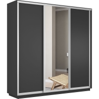 Шкаф-купе Экспресс 3дв. ДСП/Зеркало/ДСП, 240х45х220, Серый диамант