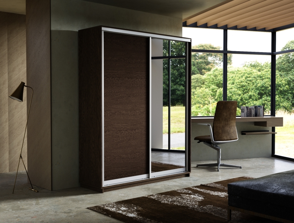 Шкаф-купе Экспресс, 2дв. ДСП/Зеркало, 160х45х240, Венге