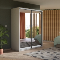 Шкаф-купе Экспресс, 2дв.-Зеркала, 160х60х220, Белый снег