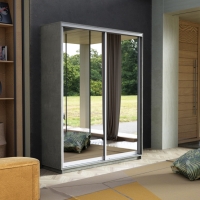 Шкаф-купе Экспресс, 2дв.-Зеркала, 120х45х220, Бетон