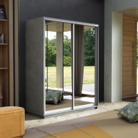 Шкаф-купе Экспресс, 2дв.-Зеркала, 160х60х220, Бетон