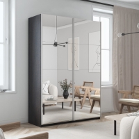 Шкаф-купе Прайм, 2дв.-Зеркало/доводчики, 160х57х230, Венге