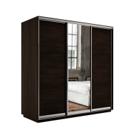 Шкаф-купе Экспресс 3дв. ДСП/Зеркало/ДСП, 180х60х240, Венге