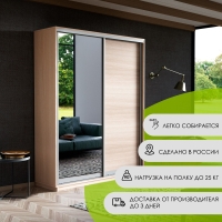 Шкаф-купе Экспресс, 2дв. ДСП/Зеркало, 120х45х220, Ясень Шимо светлый
