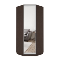 Шкаф распашной Распашной Угловой Экспресс 90х90х220 см