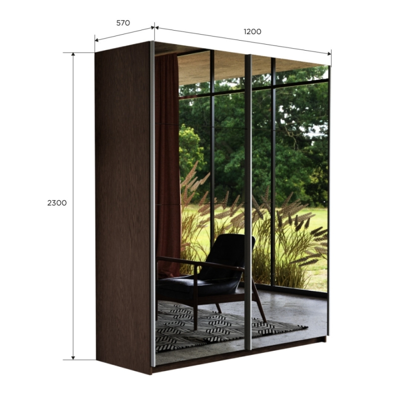 Шкаф-купе Прайм, 2дв.-Зеркало/доводчики, 120х57х230, Венге