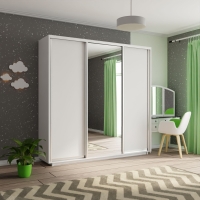 Шкаф-купе Экспресс 3дв. ДСП/Зеркало/ДСП, 210х45х220, Белый снег