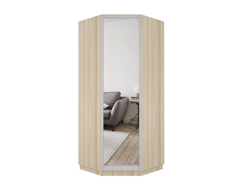 Шкаф распашной Распашной Угловой Экспресс 90х90х240 см