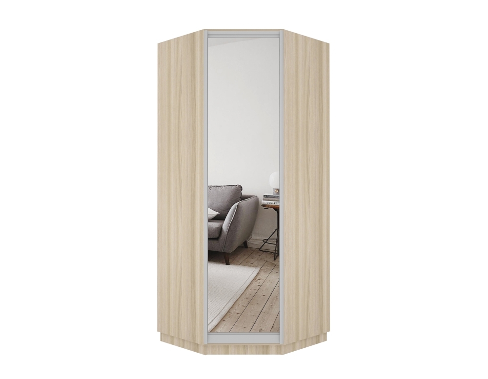 Шкаф распашной Распашной Угловой Экспресс 90х90х240 см