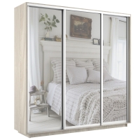 Шкаф-купе Экспресс 3дв.-зеркала, 240х45х220, Ясень Шимо Светлый