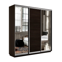 Шкаф-купе Экспресс 3дв. Зеркало/ДСП/Зеркало, 180х45х220, Венге