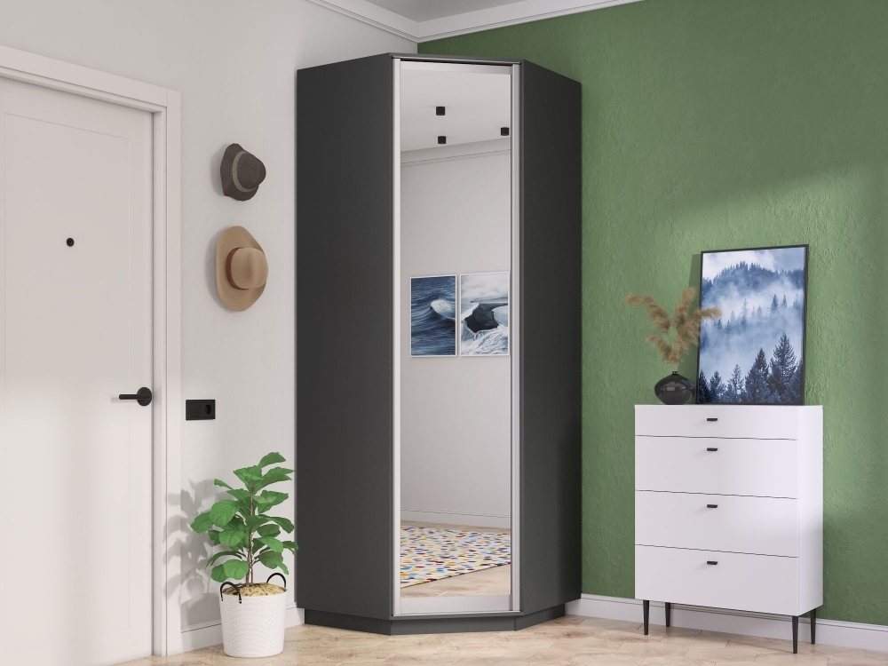 Шкаф распашной Распашной Угловой Экспресс 90х90х220 см