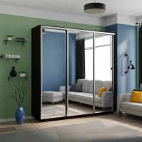 Шкаф-купе Экспресс 3дв.-зеркала, 240х45х240, Венге