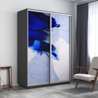 Шкаф-купе Фотопечать, 2дв. Абстракция бело-голубая, 120х45х220, Серый диамант