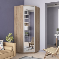 Шкаф распашной Распашной Угловой Экспресс 90х90х240 см