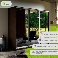 Шкаф-купе Экспресс 3дв.-зеркала, 180х60х220, Венге