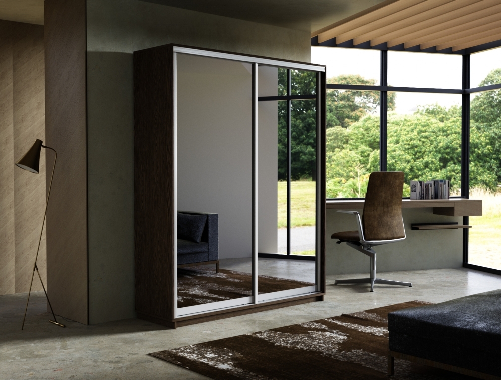 Шкаф-купе Экспресс, 2дв.-Зеркала, 160х45х220, Венге