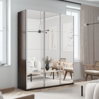 Шкаф-купе Прайм 3дв.-Зеркало/доводчики, 210х57х230, Венге