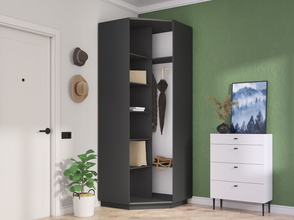 Шкаф распашной Распашной Угловой Экспресс 90х90х220 см