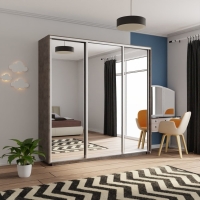 Шкаф-купе Экспресс 3дв.-зеркала, 210х60х220, Бетон