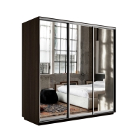 Шкаф-купе Экспресс 3дв.-зеркала, 180х60х220, Венге