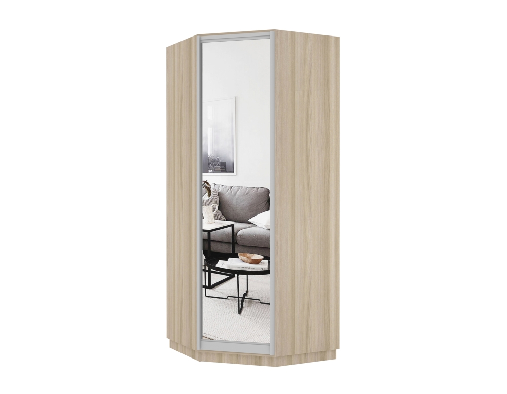 Шкаф распашной Распашной Угловой Экспресс 90х90х220 см