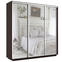 Шкаф-купе Экспресс 3дв.-зеркала, 210х45х220, Венге