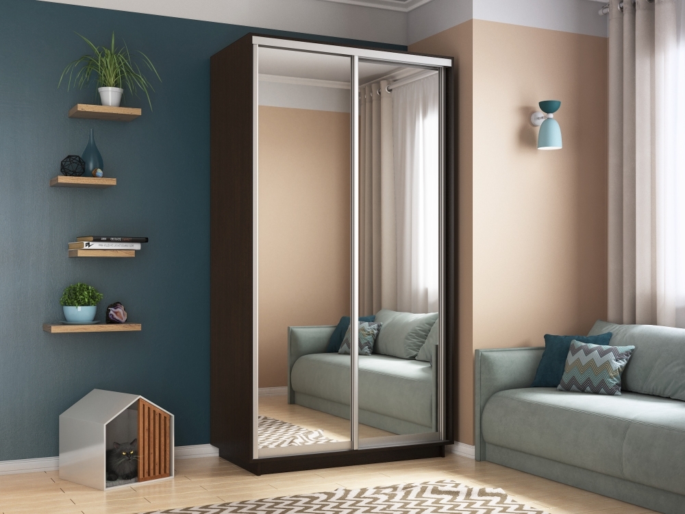 Шкаф-купе Экспресс Хит, 2дв.-зеркала, 120х60х220, Венге