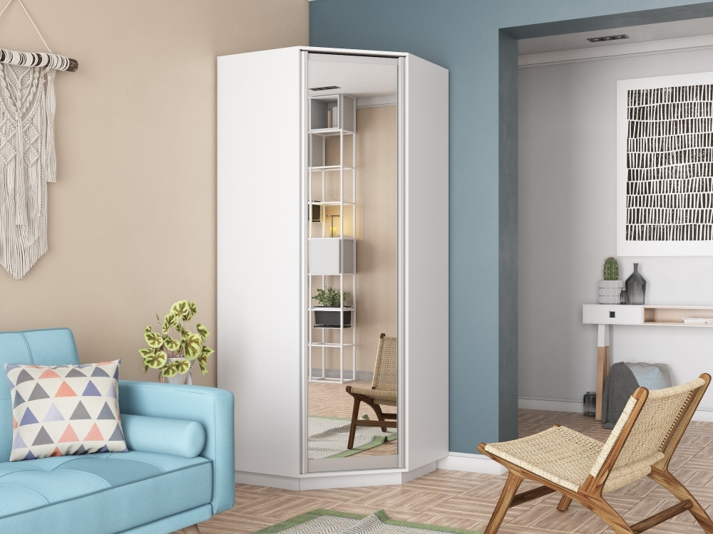 Шкаф распашной Распашной Угловой Экспресс 90х90х220 см