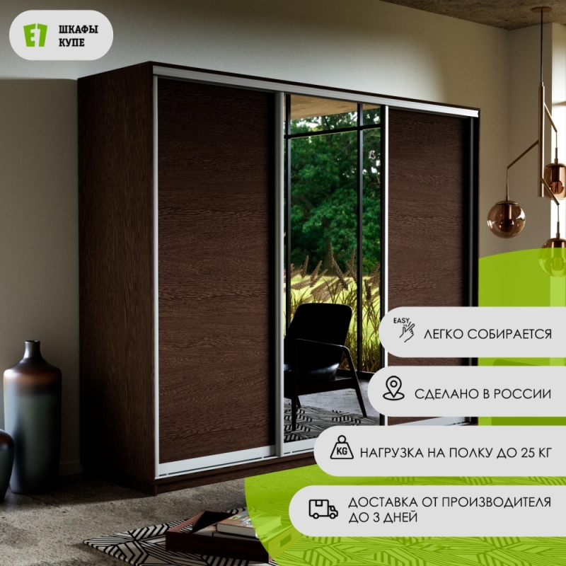 Шкаф-купе Экспресс 3дв. ДСП/Зеркало/ДСП, 180х60х220, Венге