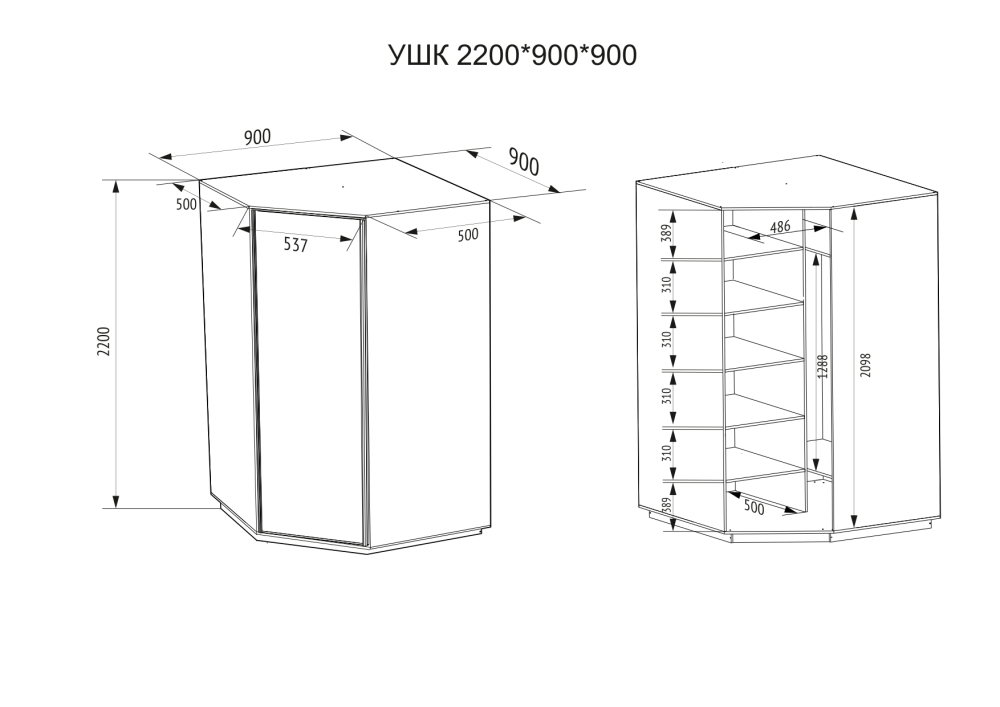 Шкаф распашной Распашной Угловой Экспресс 90х90х220 см