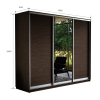 Шкаф-купе Экспресс 3дв. ДСП/Зеркало/ДСП, 180х60х240, Венге