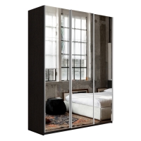 Шкаф-купе Прайм 3дв.-Зеркало/доводчики, 180х57х230, Венге