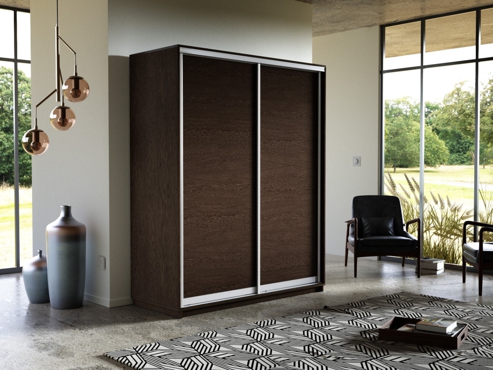 Шкаф-купе Экспресс, 2дв.-ДСП, 120х60х240, Венге