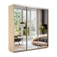 Шкаф-купе Экспресс 3дв.-зеркала, 180х45х220, Сонома