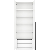 Шкаф распашной Локер "Распашной"/доп. полки + модуль 80х220х53