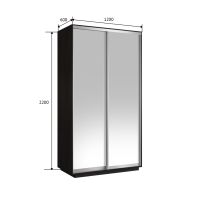 Шкаф-купе Экспресс Хит, 2дв.-зеркала, 120х60х220, Венге