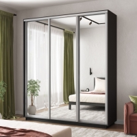 Шкаф-купе Экспресс 3дв.-зеркала, 210х45х240, Серый диамант