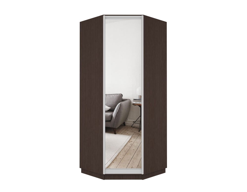 Шкаф распашной Распашной Угловой Экспресс 90х90х220 см