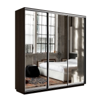 Шкаф-купе Экспресс 3дв.-зеркала, 180х45х220, Венге